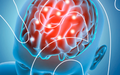 Como o Cérebro se Adapta e Muda com Novas Aprendizagens